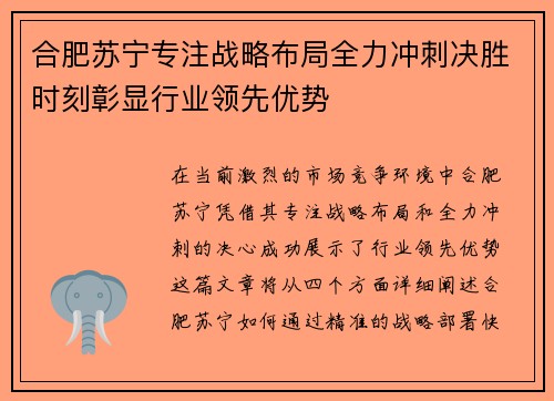 合肥苏宁专注战略布局全力冲刺决胜时刻彰显行业领先优势