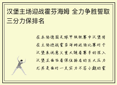汉堡主场迎战霍芬海姆 全力争胜誓取三分力保排名